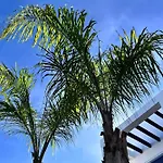 Modern With Swimming Pool And Terraces Apartamento Torrevieja