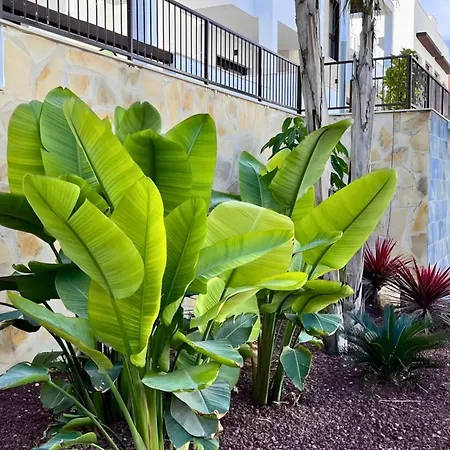 Modern With Swimming Pool And Terraces Apartamento *
